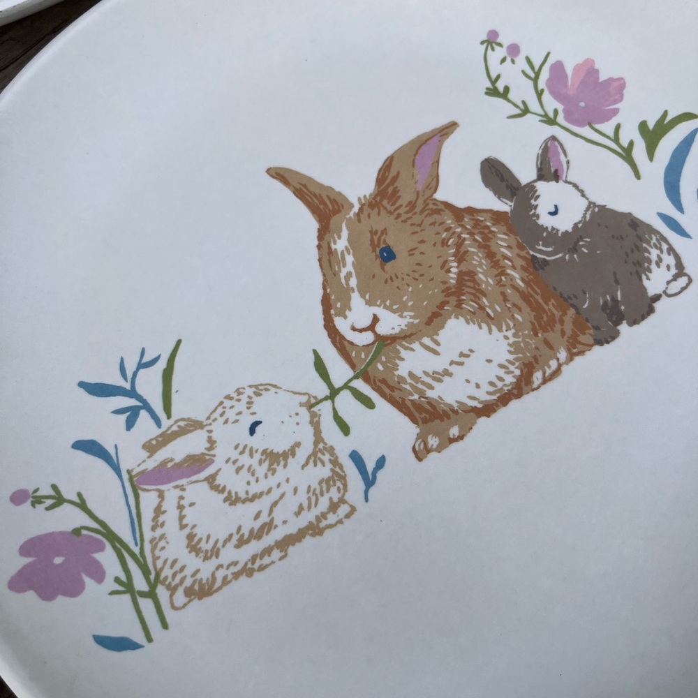 Ceramic Easter Bunny Print Plates (set of 4) - Picture 4 of 4